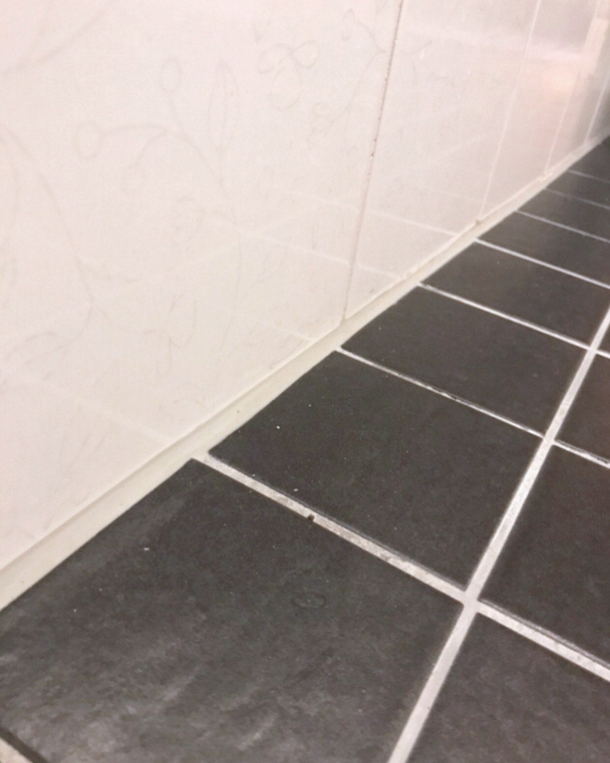 Silikonisaumojen vaihto, pesu ja nanopinnoitus